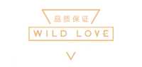 WILDLOVE永生花