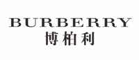 Burberry网纱连衣裙