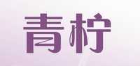 时尚假发品牌标志LOGO